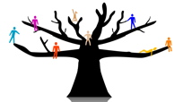 Plant a Family Tree 