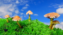 Magic Mushrooms Treat Depression?