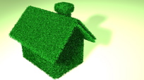 Reasons to Green Your Home