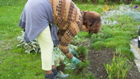 Plant Your Veggies!